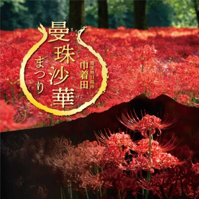 令和7年_曼珠沙華まつり_サムネ画像