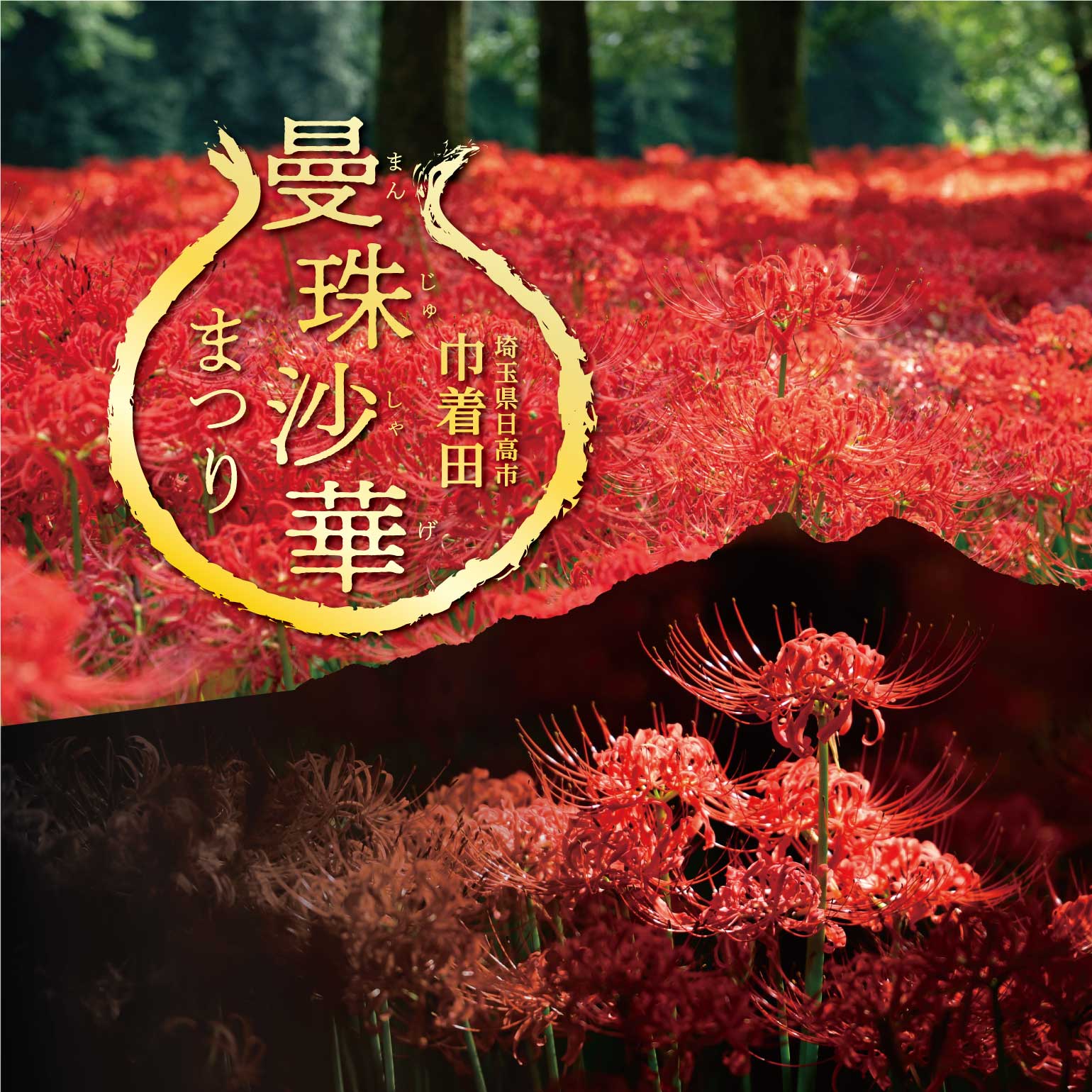 MINEISOKO | 日高商工会様 | 令和7年 曼珠沙華まつりポスター